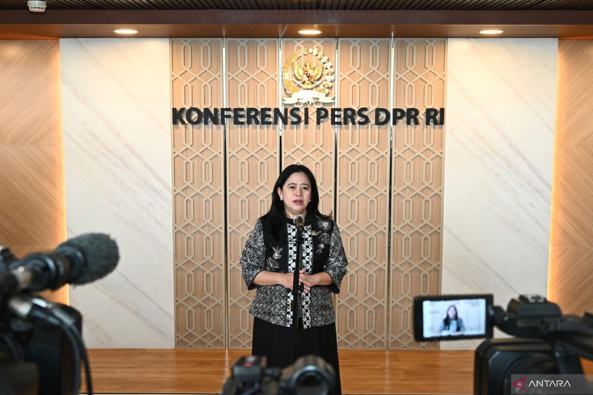 DPR dan pemerintah  antisipasi monkeypox jelang Forum Indonesia-Afrika