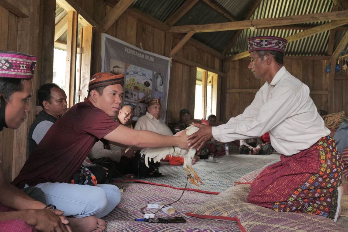 PLN UIP Nusra jalani prosesi adat Takung Wae Teku bersama masyarakat adat Poco Leok