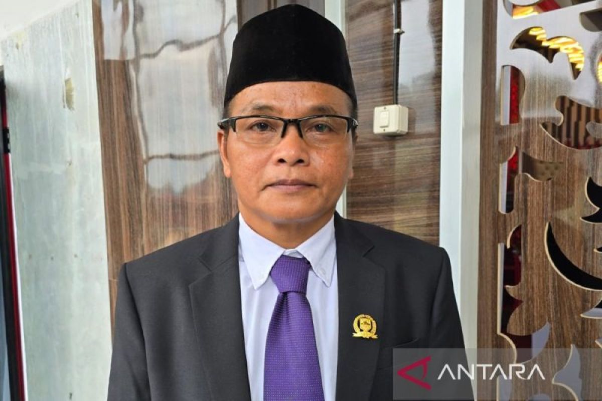 Legislator Kotabaru Nusriono perjuangkan akses pertanian