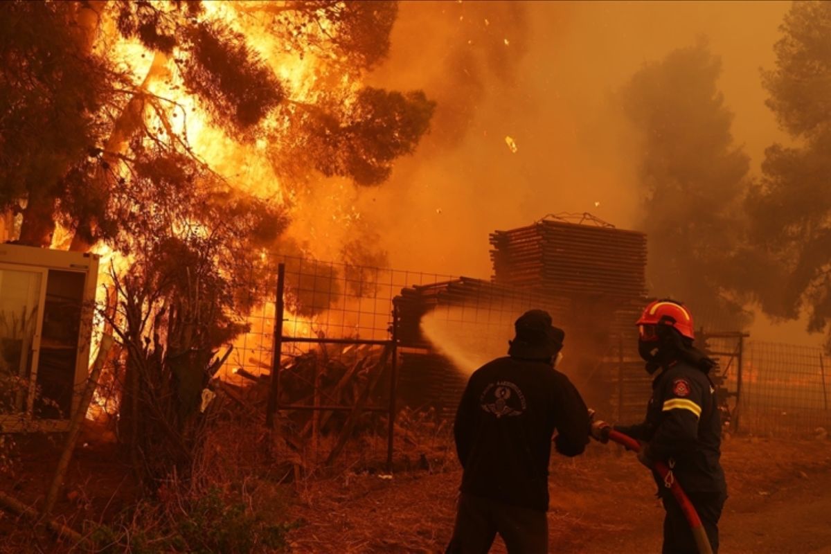 Perubahan iklim buat kebakaran hutan di Mediterania timur semakin parah