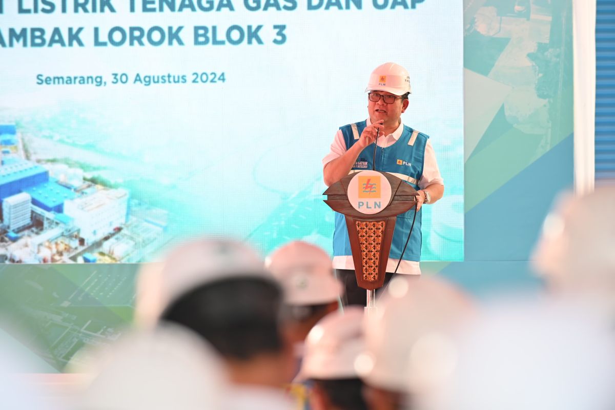 PLN operasikan PLTGU tambak lorok 779 MW