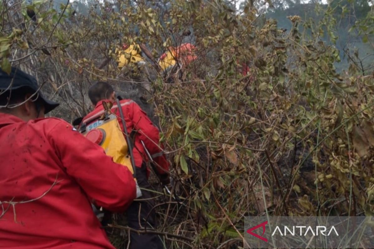 BNPB: 10 hektare lahan di Sumut terbakar, pemadaman masih berlangsung