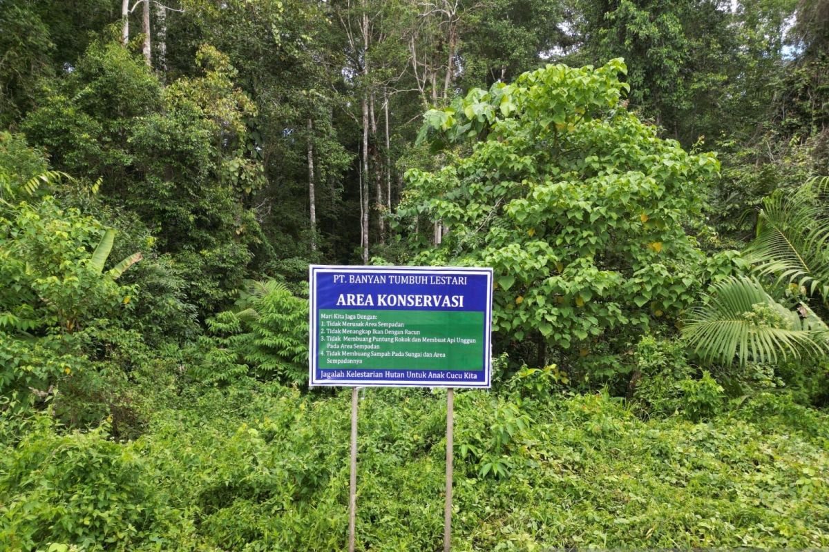 BPHL XII Palu apresiasi kontribusi PT Banyan Tumbuh Lestari