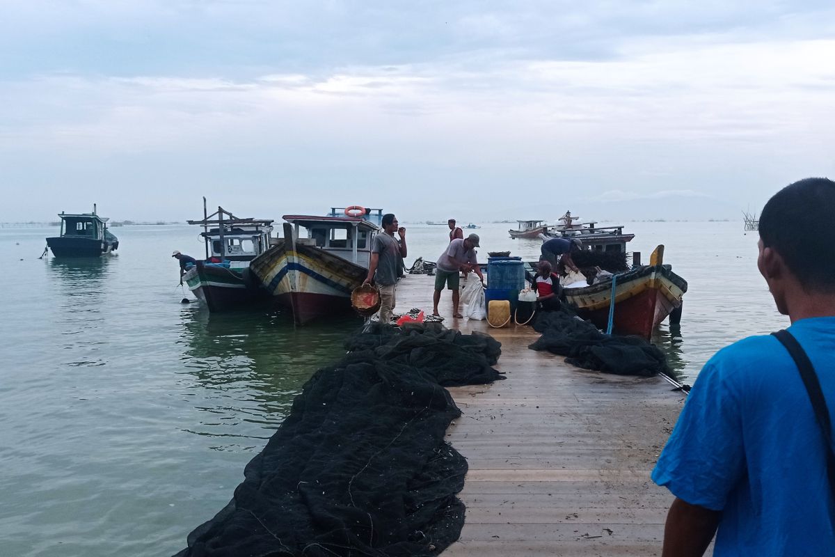 Balawista Lebak minta warga pesisir waspadai fenomena ikan ke darat