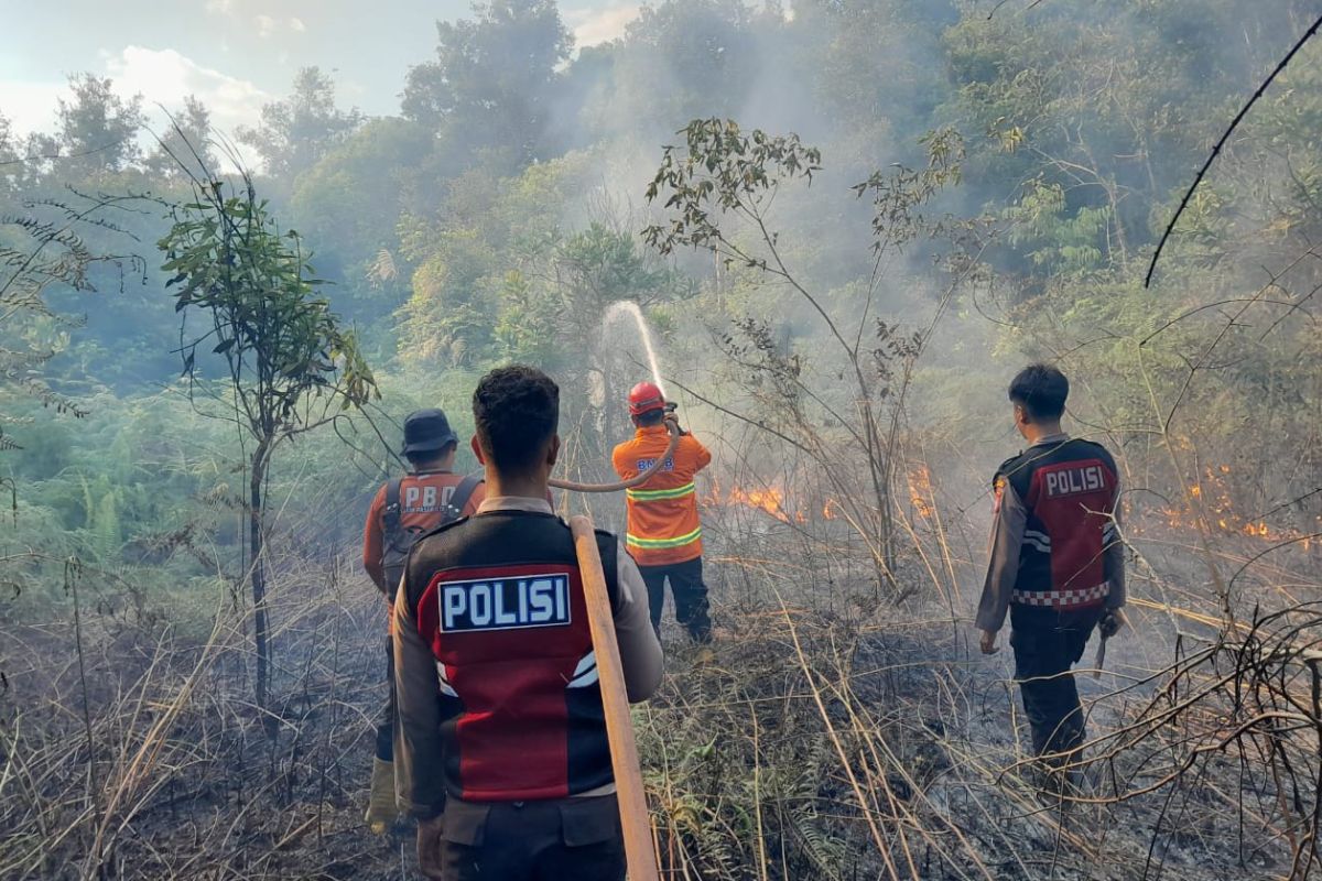 BMKG minta masyarakat waspadai kebakaran hutan dan lahan di Kaltim