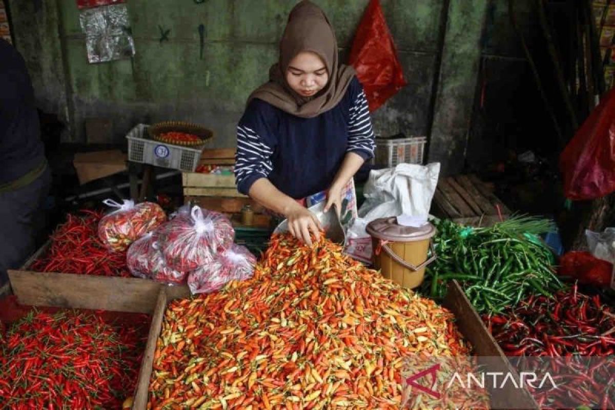 Harga pangan Minggu: Minyak goreng turun, cabai jadi Rp46.490 per kg