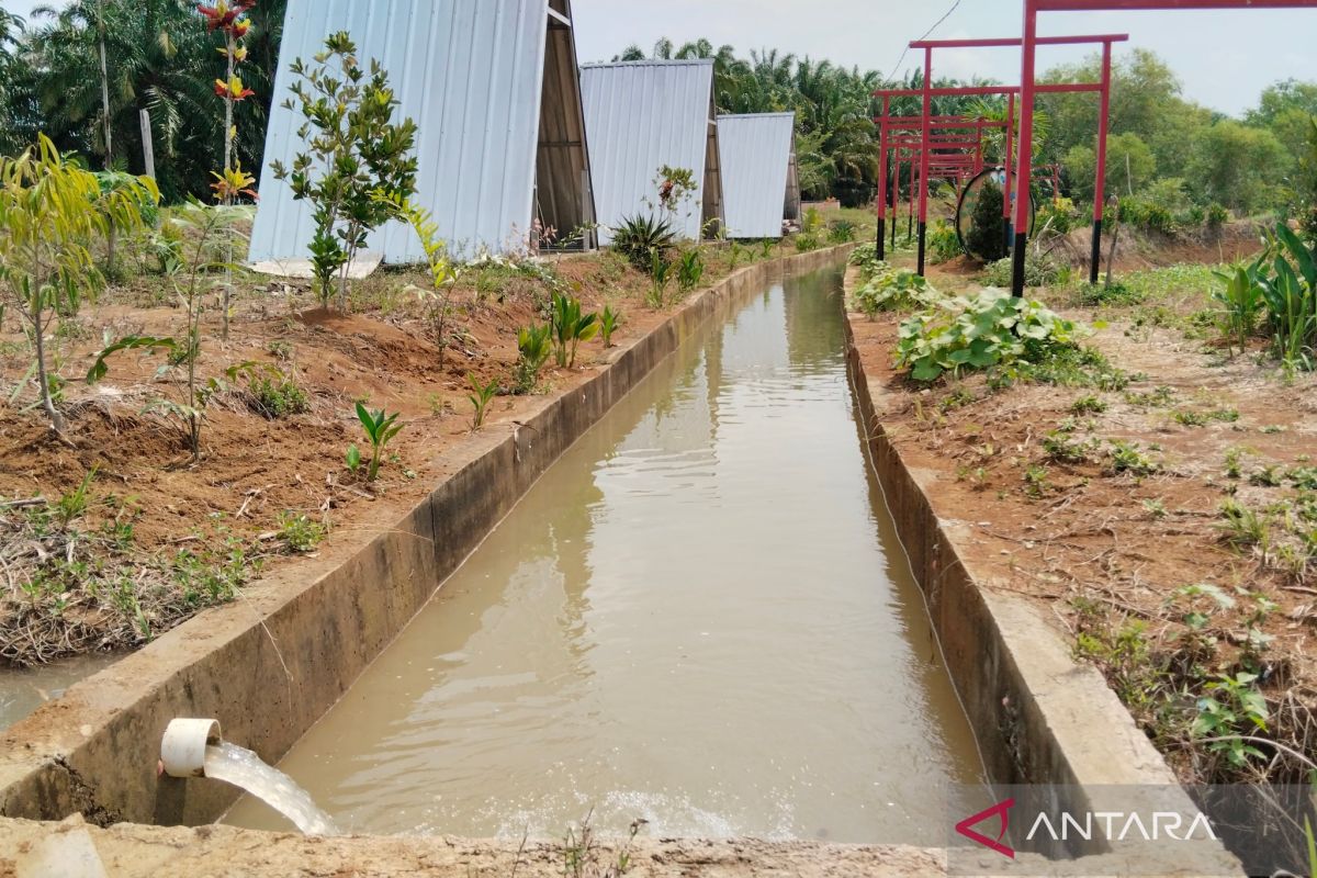 Dua kelompok tani Mukomuko terima bantuan irigasi pompa