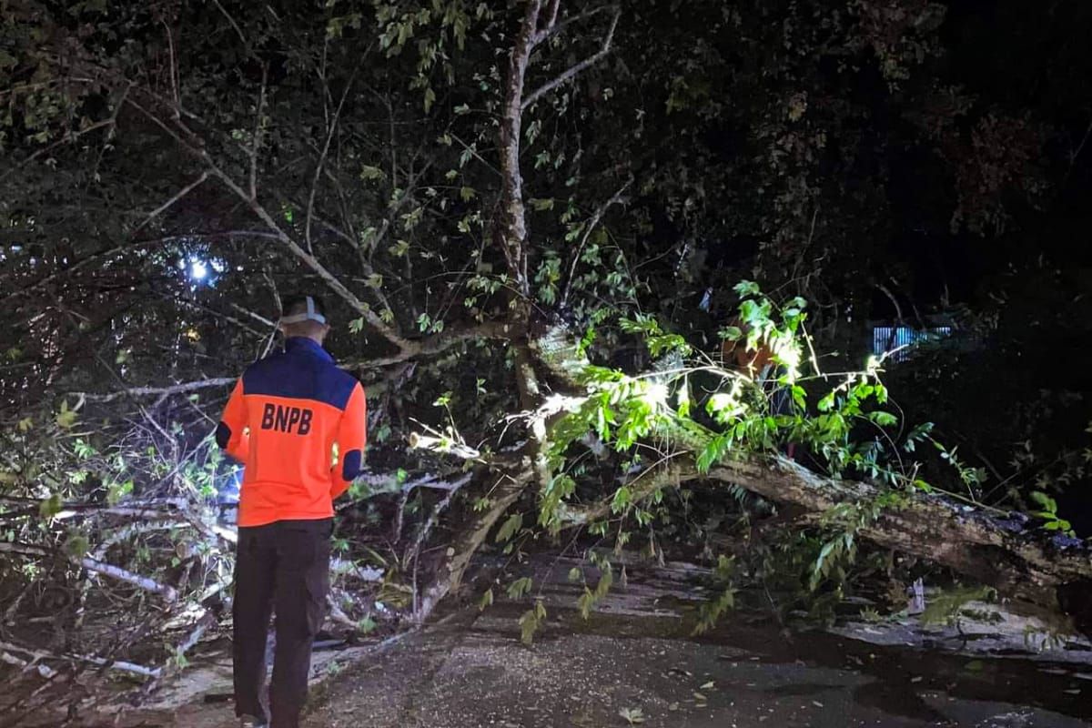 BPBD Natuna mendata kerusakan rumah warga akibat cuaca ekstrem