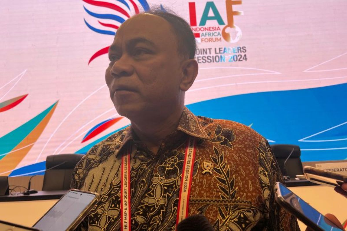 Indonesia to share its experience in digitalization with Egypt