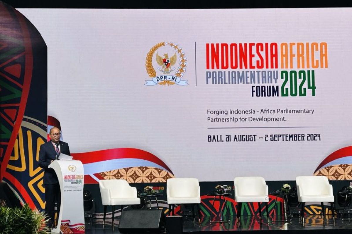 Rosan: Signifikansi investasi di Afrika tandai masa depan menjanjikan