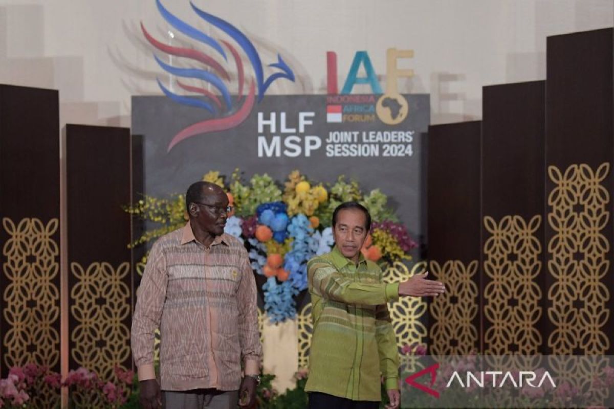 Indonesia committed to strengthening ties with African nations