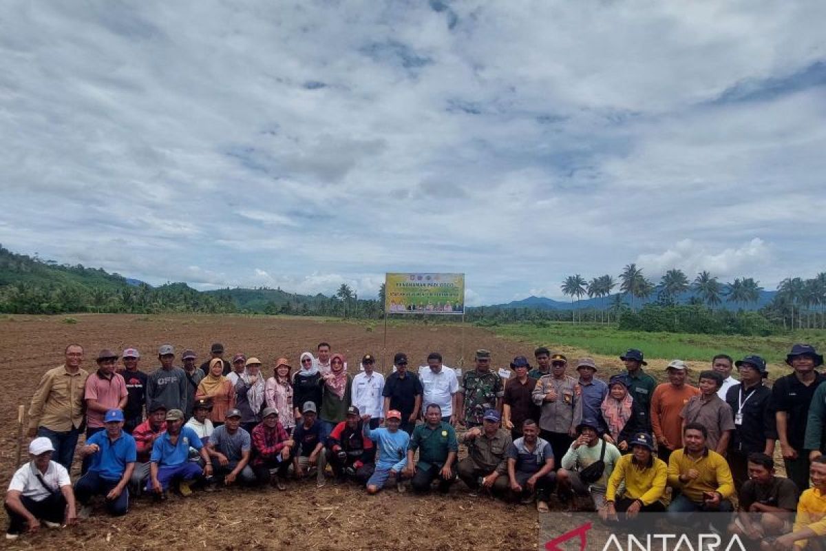 Kementan perluas areal padi gogo di Gorontalo cegah kelangkaan pangan