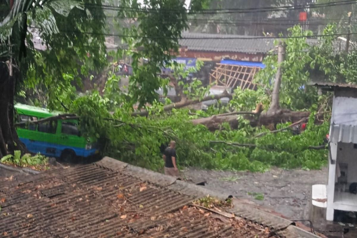 BPBD terjunkan personel ke titik bencana akibat hujan deras dan angin kencang di Kota Bogor