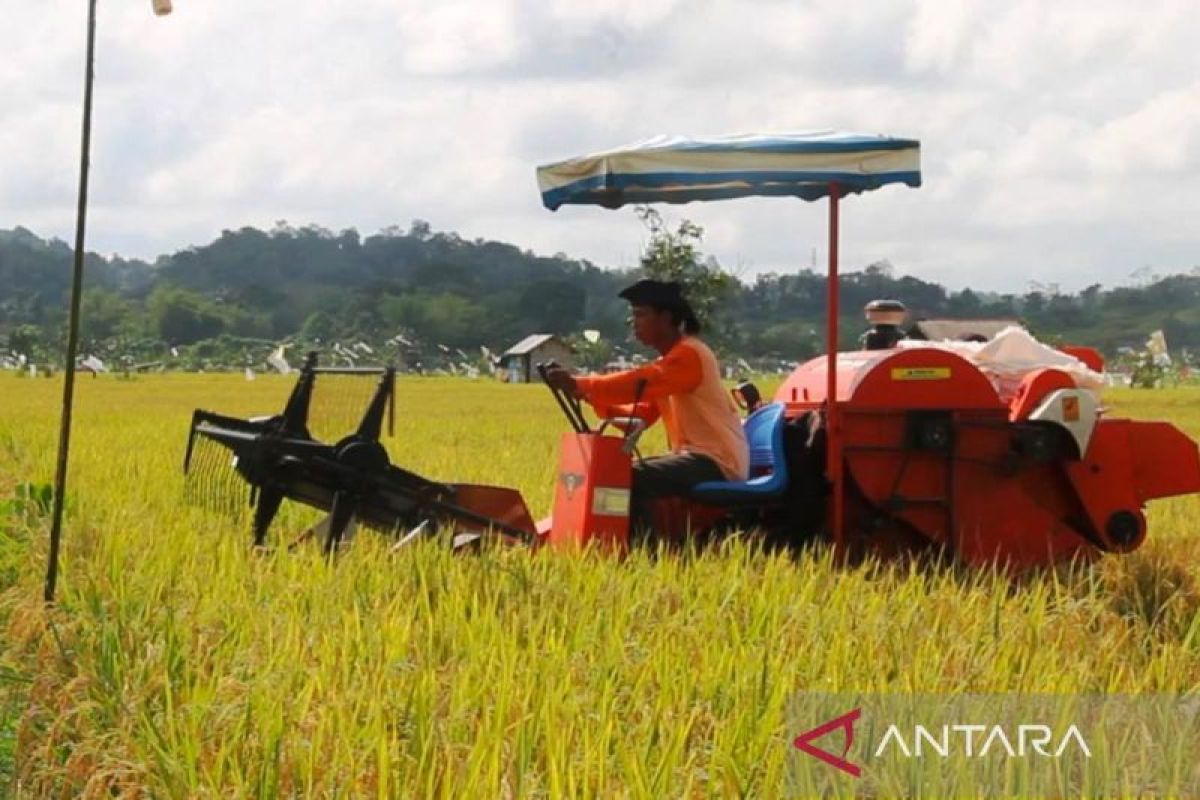 Kementan perluas lahan pertanian di Kaltim antisipasi darurat pangan