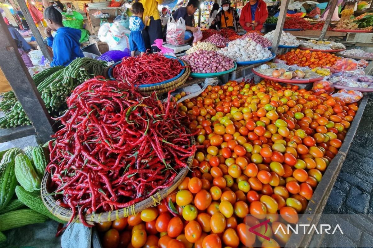 BPS: Inflasi Papua Barat Daya pada Agustus sebesar 1,66 persen