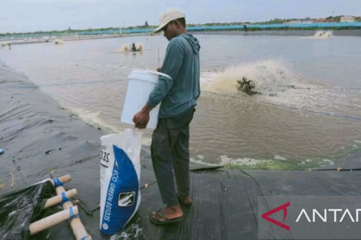 Bupati Karawang minta tambahan pupuk subsidi untuk para petambak