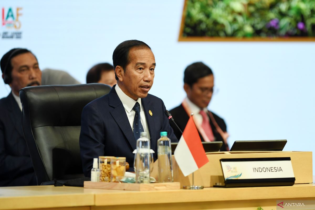 Presiden sampaikan komitmen Indonesia untuk negara sahabat di Afrika