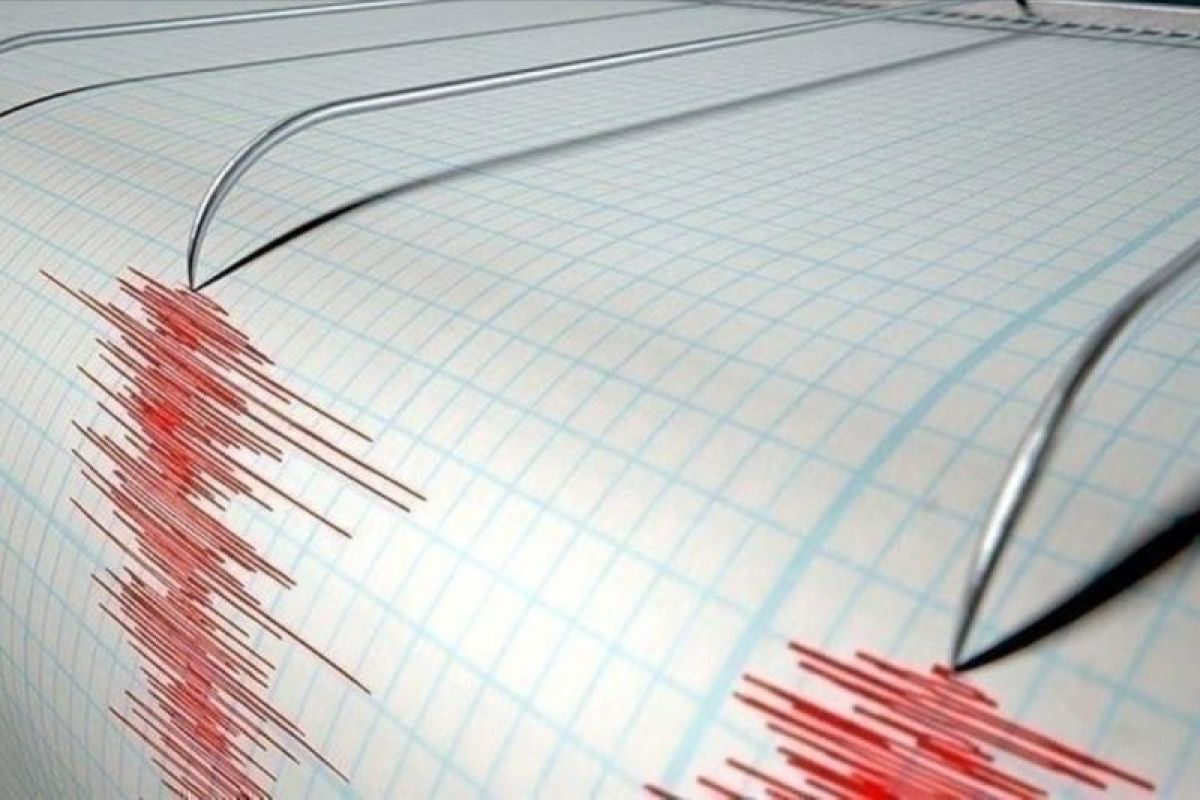 Gempa magnitudo 3,4 guncang Jayapura