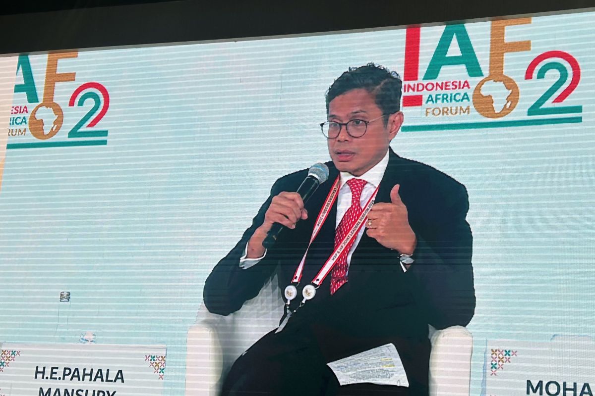 Indonesia outlines potential sectors for cooperation with Africa