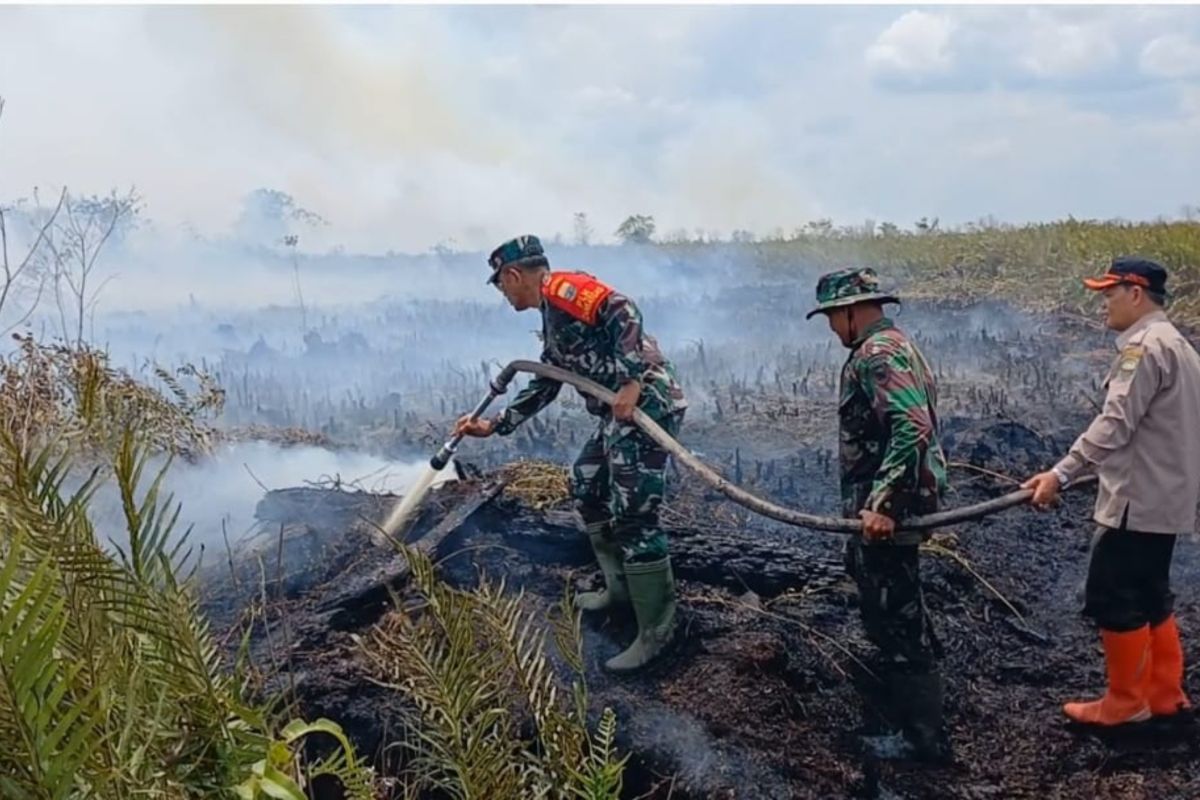 Potensi karhutla masih tinggi hingga bantuan atasi kekeringan