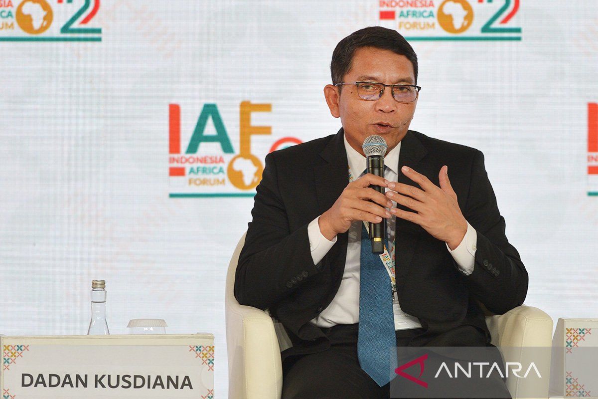 Indonesia gali perluasan pemanfaatan panas bumi Afrika di IAF-2