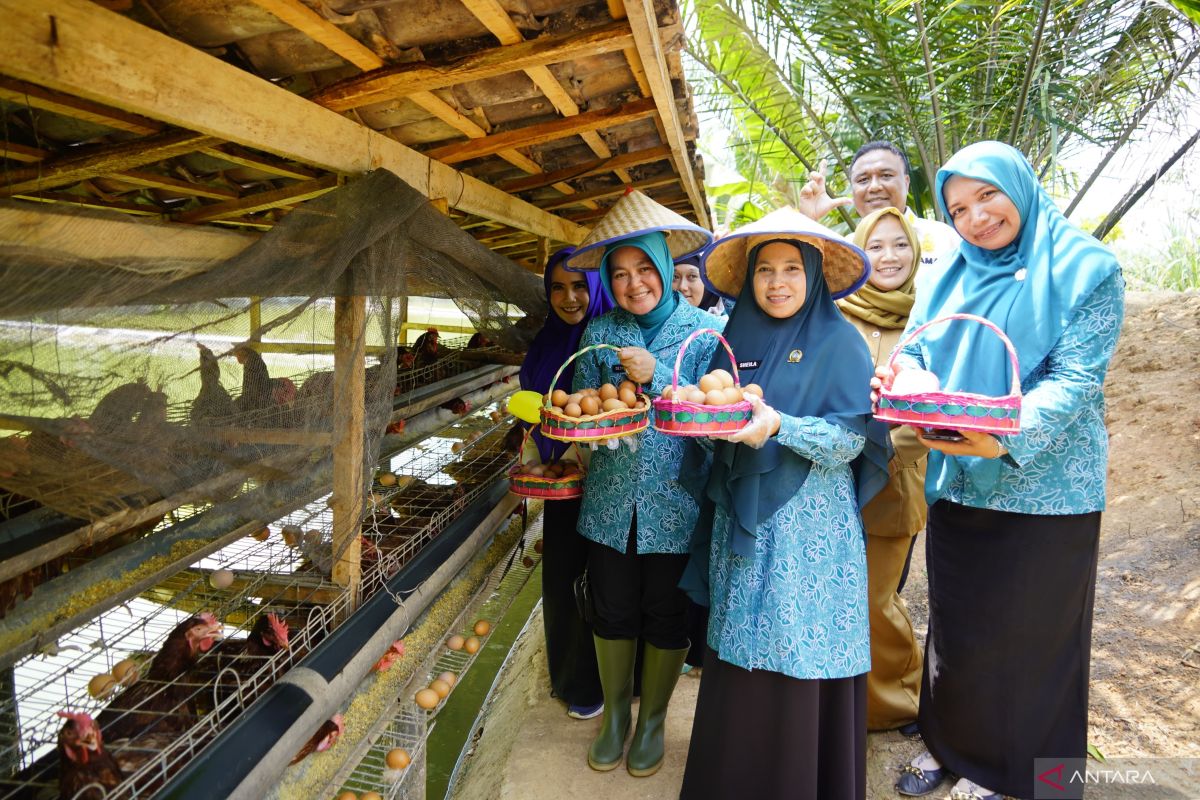 Desa di OKU Timur jadi lokus Program  Aku Hatinya PKK