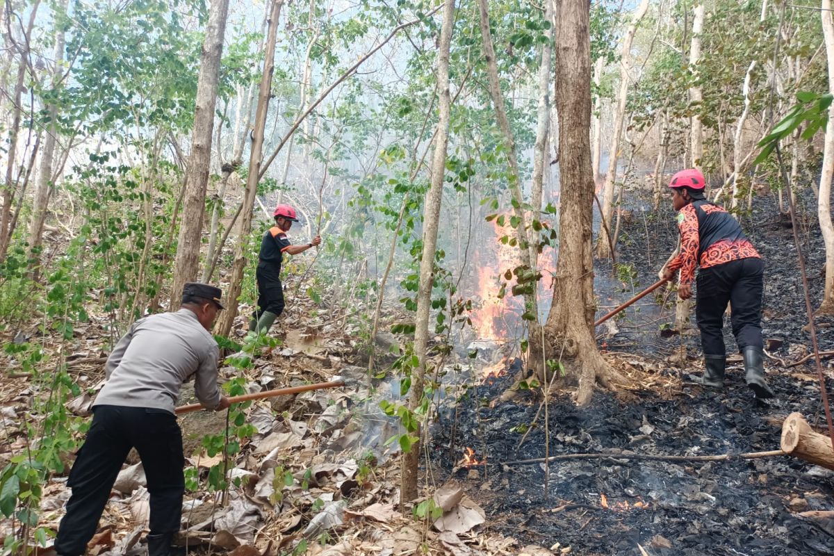 BPBD Trenggalek ingatkan warga waspada peningkatan intensitas karhutla