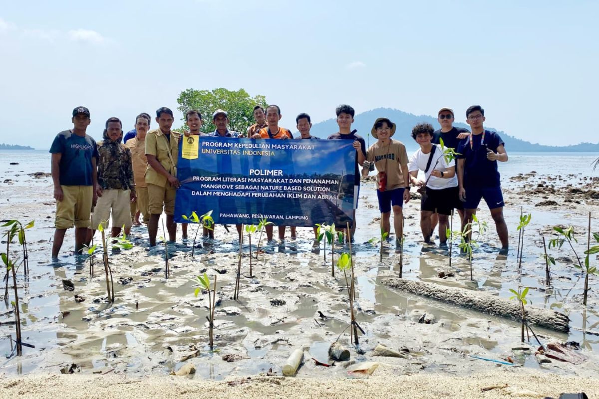 UI beri edukasi tentang NbS jaga kelestarian hutan bakau di Pahawang