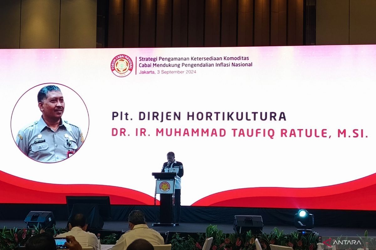 Kementan pastikan ketersediaan cabai secara nasional aman hingga akhir tahun