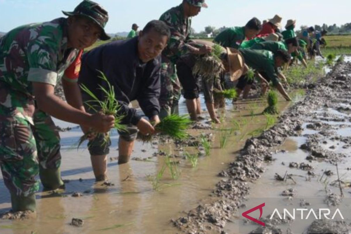 Kodim Sumenep gerakkan anggota bantu program PAT