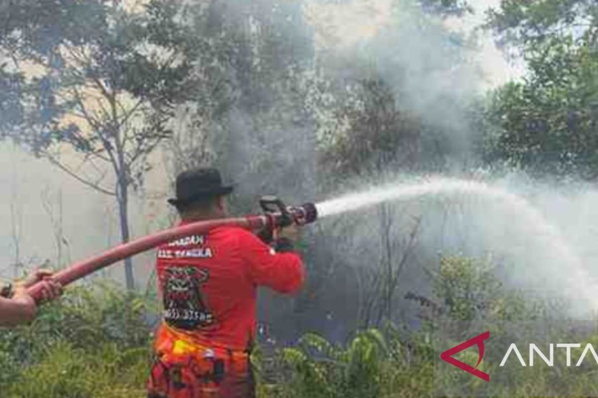 Damkar Bangka catat 29 kejadian karhutla selama Januari-Agustus 2024