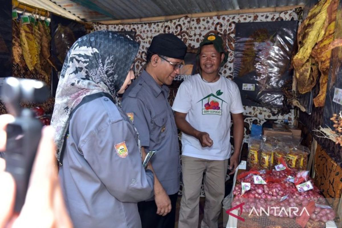 Boyolali siapkan program untuk memenuhi kebutuhan pangan daerah