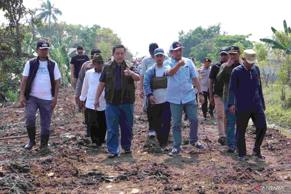 4.246 hektare sawah di Kabupaten Bekasi berstatus terancam kekeringan