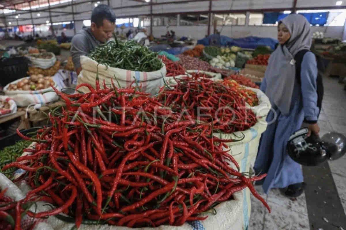 Senin ini, harga cabai merah capai Rp41.000 per kg