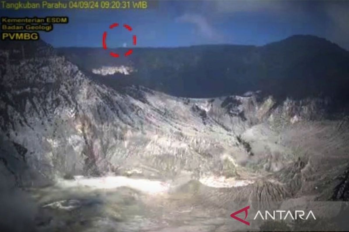 Hutan taman wisata Gunung Tangkuban Perahu kebakaran