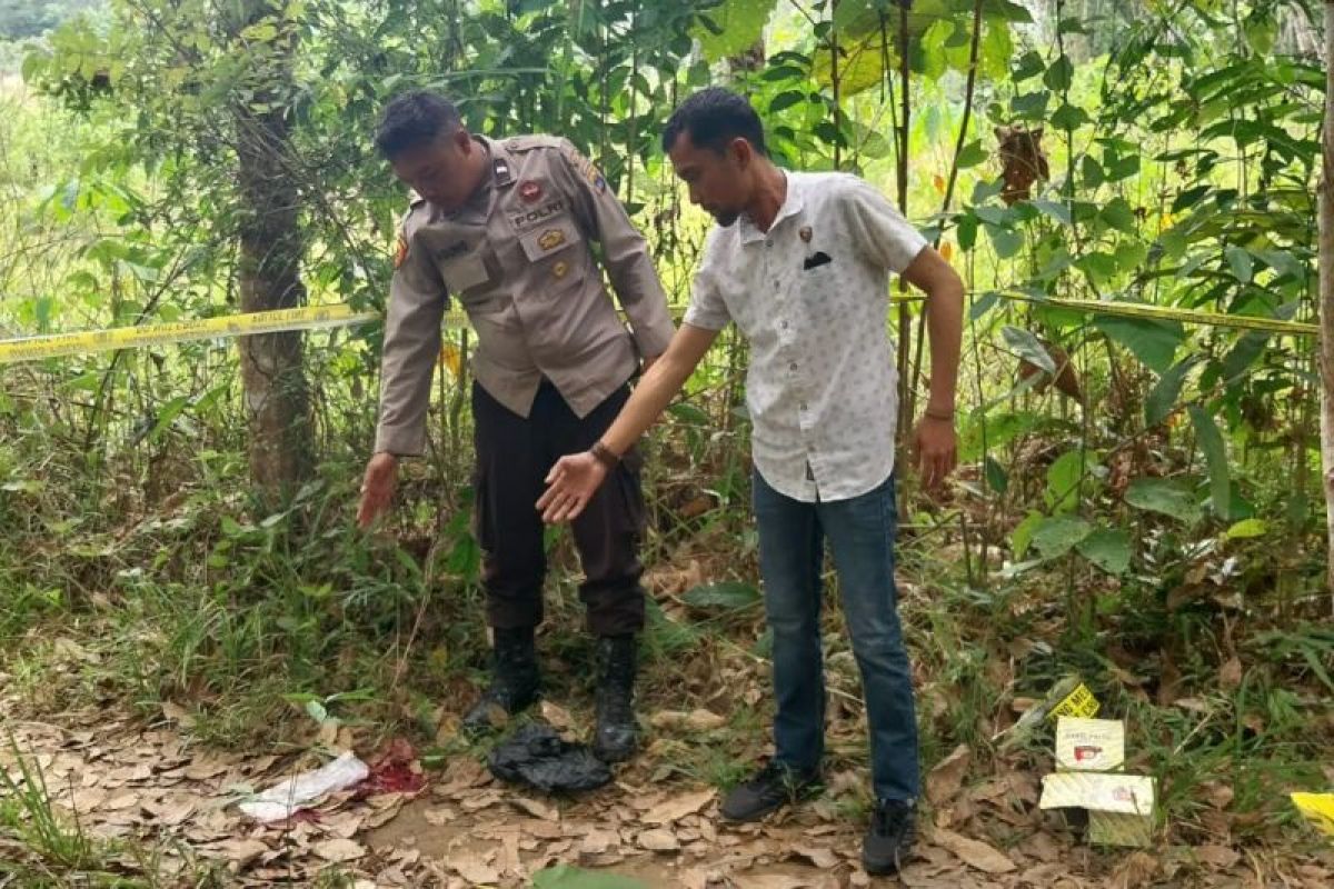 Pelaku pembunuhan serahkan diri ke Polsek Halong