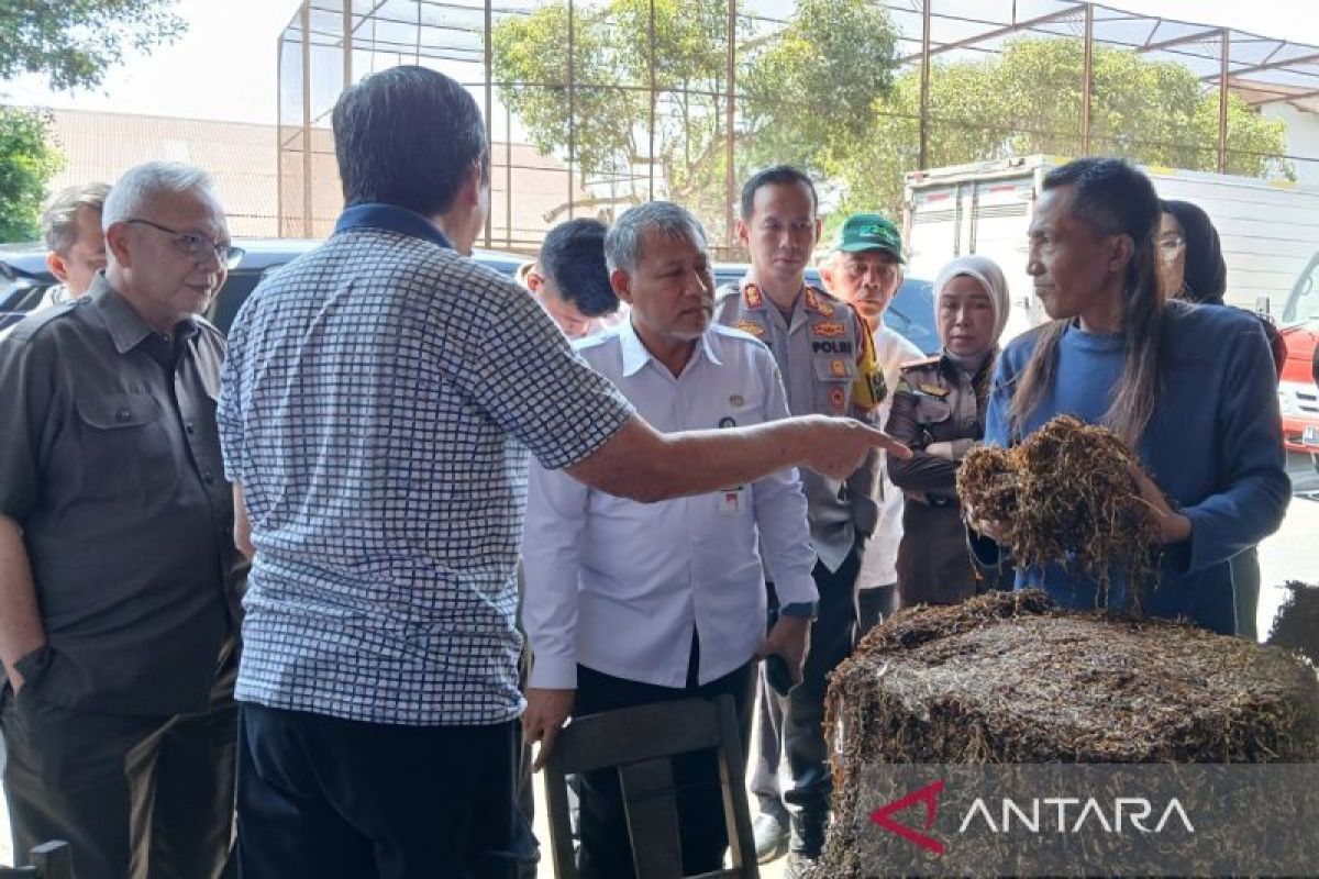 Pj Bupati Temanggung pantau pembelian tembakau di gudang