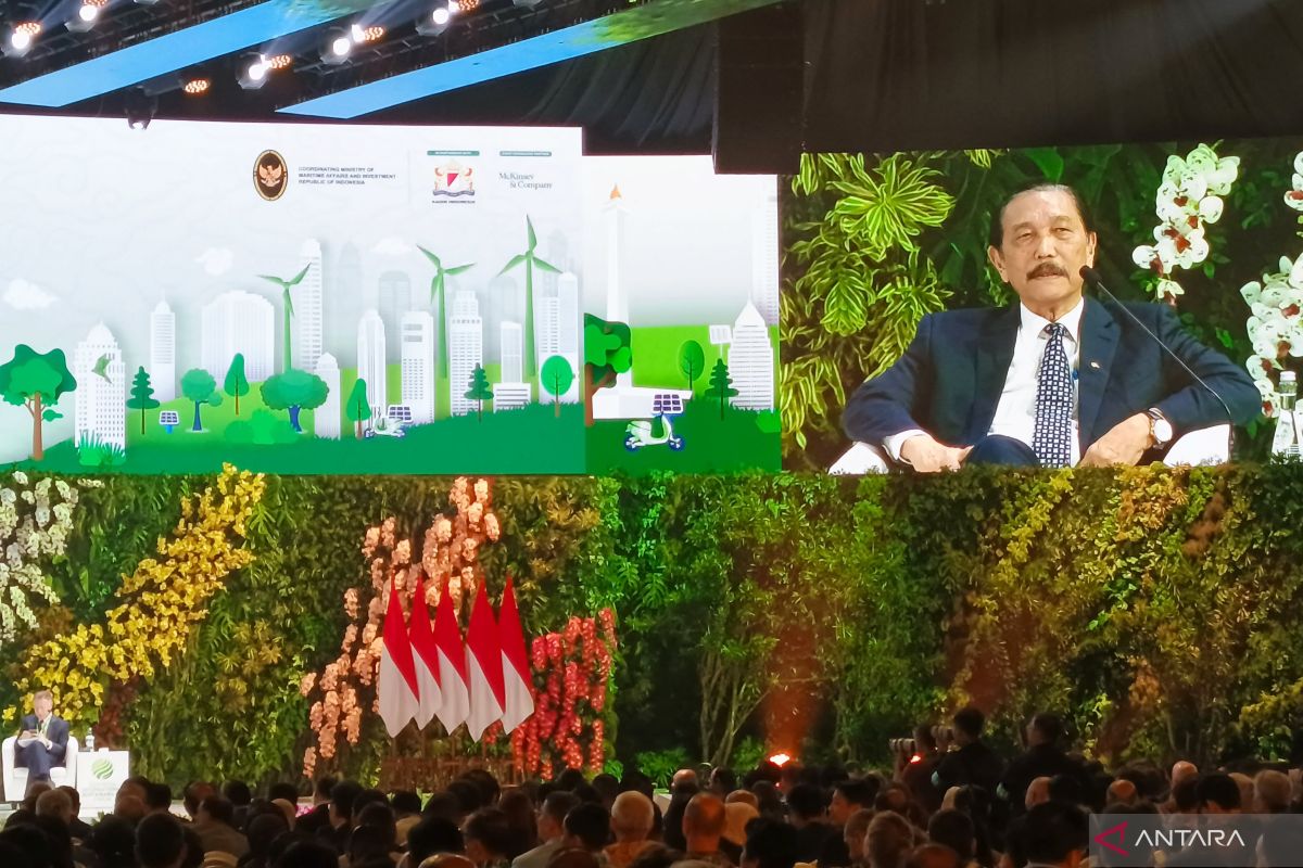 Luhut: Transisi energi RI pacu pengembangan industri hijau