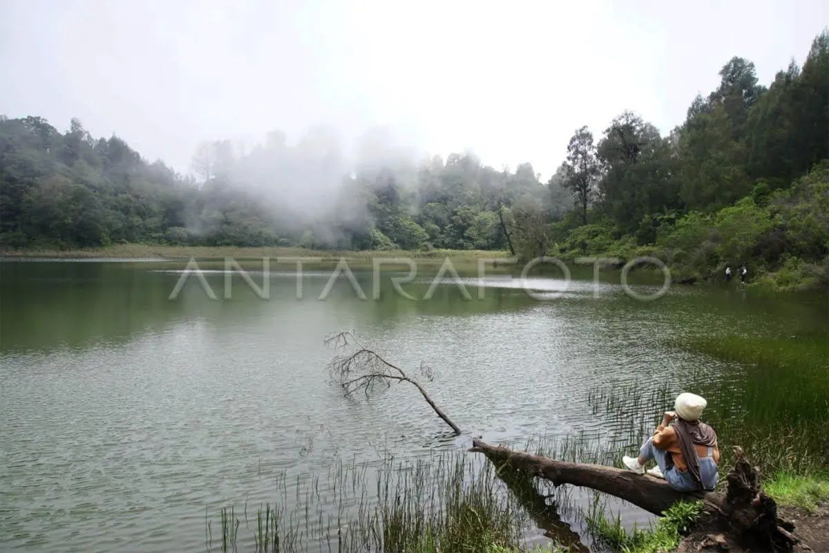 TNBTS buka kawasan Ranu Regulo untuk wisatawan