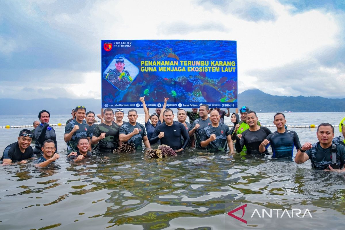 Lakukan kegiatan renang pantai, Kodam Pattimura tanam terumbu karang di Air Salobar Ambon