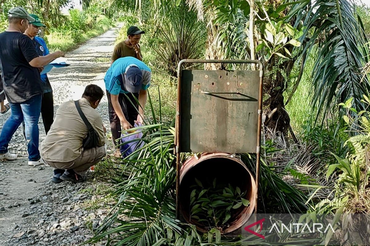 BKSDA Kalsel pantau beruang madu muncul tiga kali di Desa Kuripan