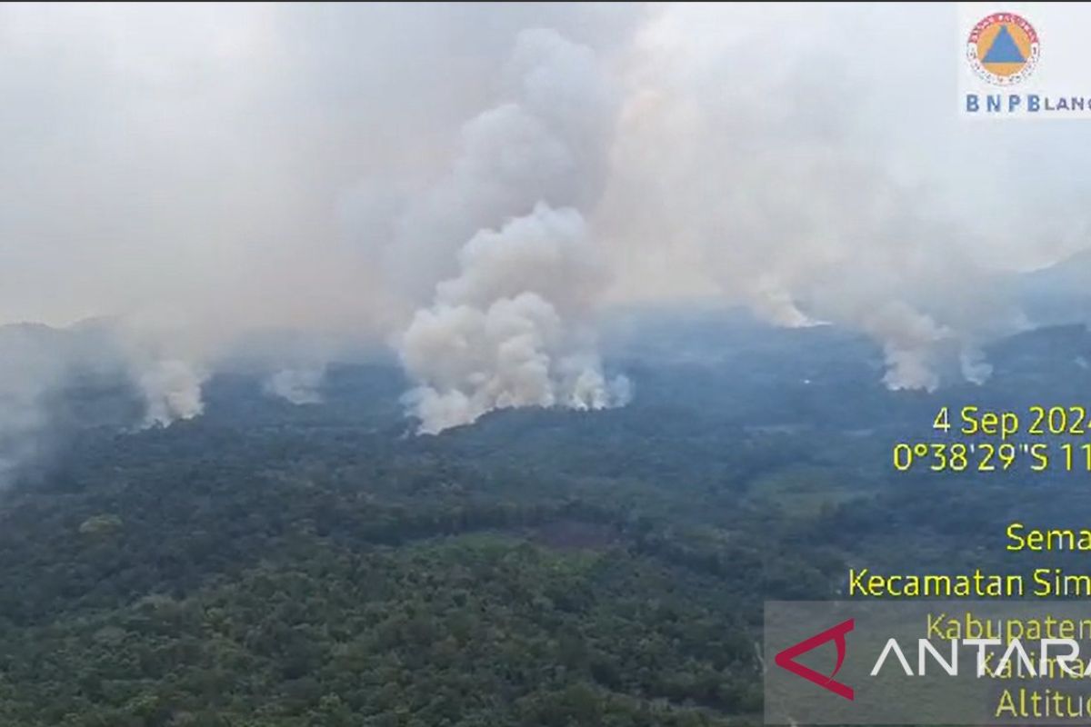 Enam perusahaan perkebunan Kalbar terindikasi bakar lahan