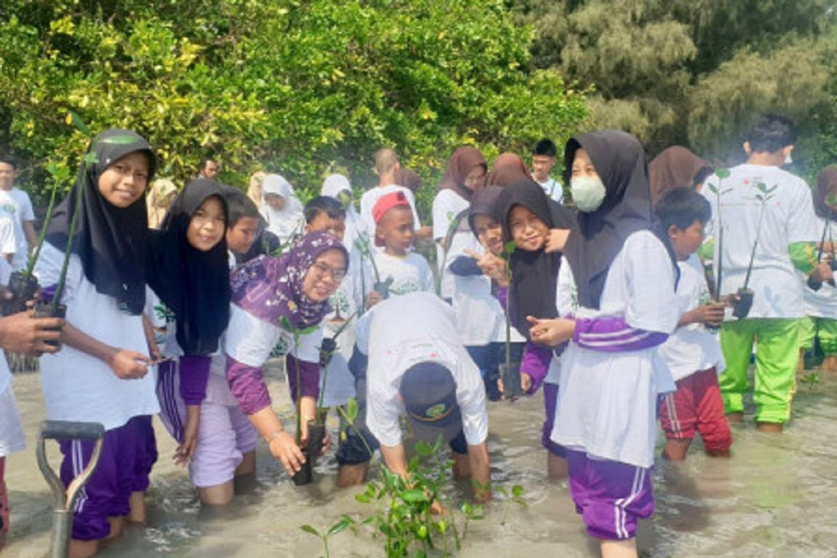 PMI tanam 2.000 bibit mangrove di Pulau Tidung Kecil Kepulauan Seribu jaga ekosistem