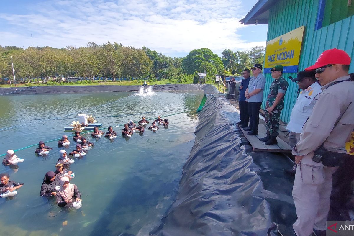 Kota Sorong tebar ribuan benih udang vaname di Politeknik Sorong