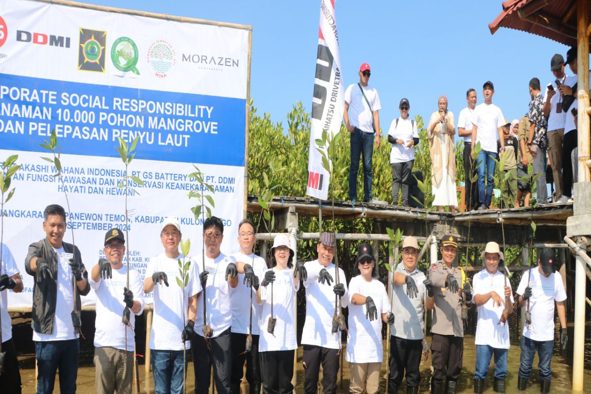 Pemkab Kulon Progo dan swasta tanam 10 ribu mangrove di Pasir Mendit