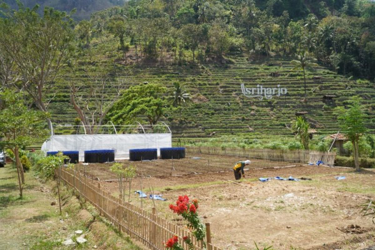 PLN dukung smart farming Taruna Tani di Sriharjo