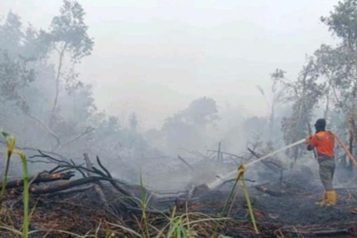 BPBD: Karhutla di Sungai Rotan Muara Enim mencapai 53 hektare