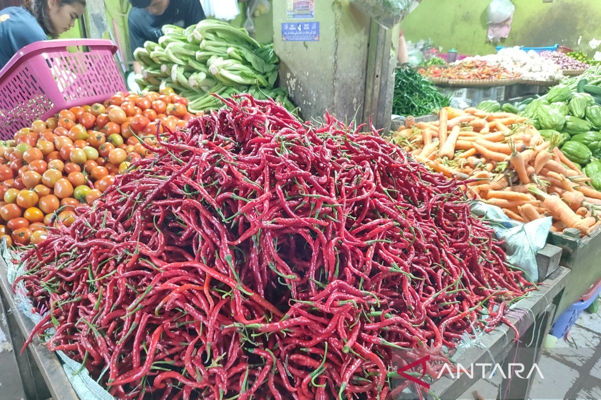 Harga pangan Selasa: Cabai merah keriting turun jadi Rp31.880 per kg