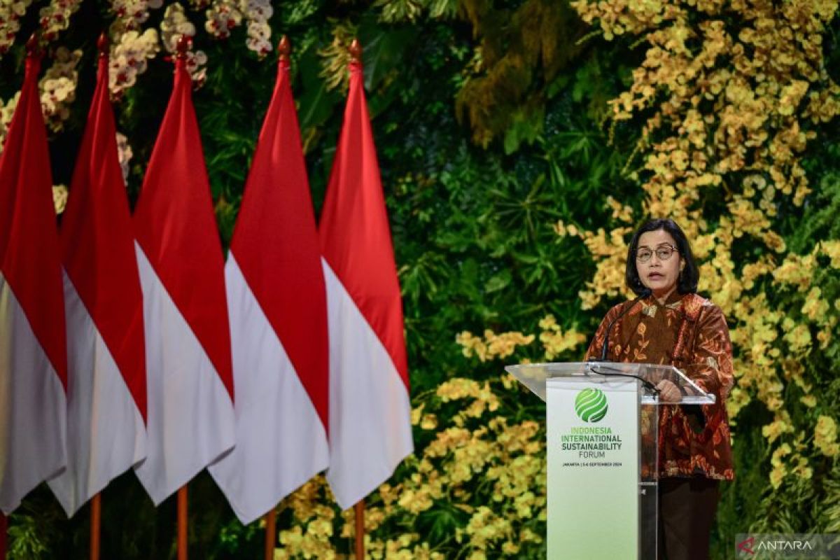 Indonesia's energy transition key to economic growth, says minister