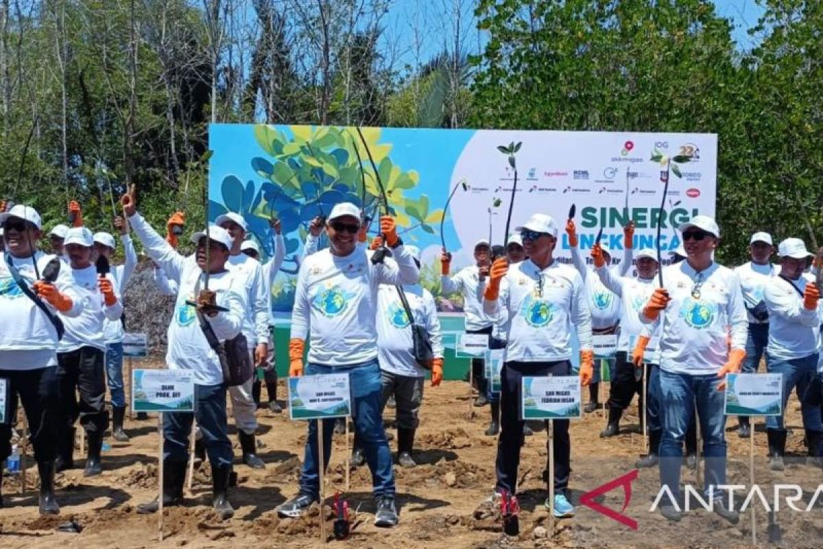 SKK Migas targetkan tanam 1,6 juta pohon mangrove selama 2024